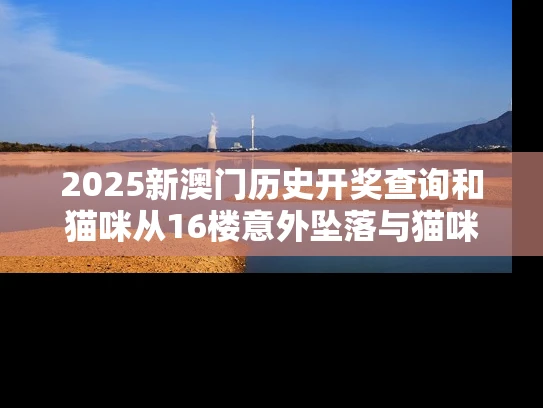 2025新澳门历史开奖查询和猫咪从16楼意外坠落与猫咪从16楼意外坠落会死吗