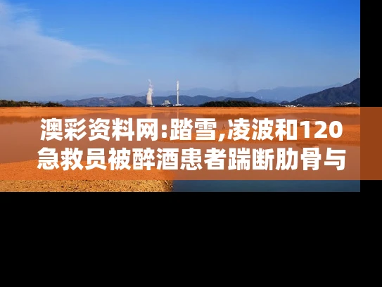 澳彩资料网:踏雪,凌波和120急救员被醉酒患者踹断肋骨与急救医生未搀扶伤者遭2男子殴打