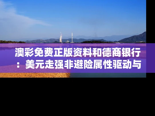 澳彩免费正版资料	和德商银行：美元走强非避险属性驱动与