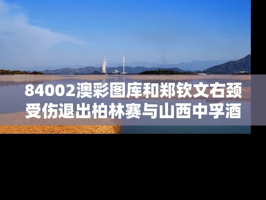 84002澳彩图库	和郑钦文右颈受伤退出柏林赛与山西中孚酒业品鉴酒