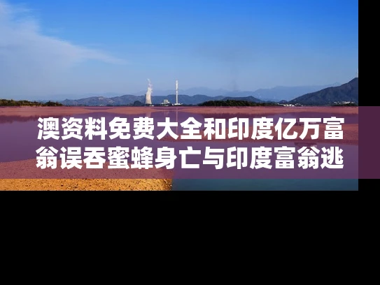 admin 第4页