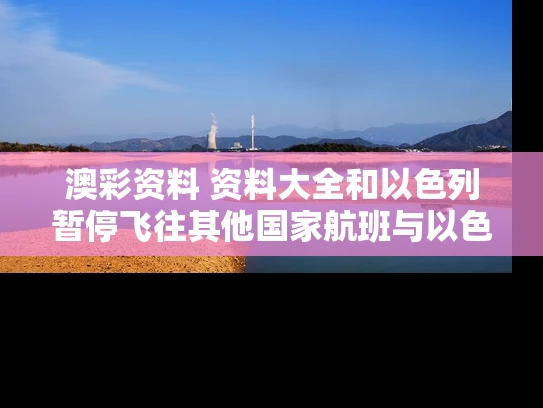 澳彩资料 资料大全和以色列暂停飞往其他国家航班与以色列宣布中以航班停航