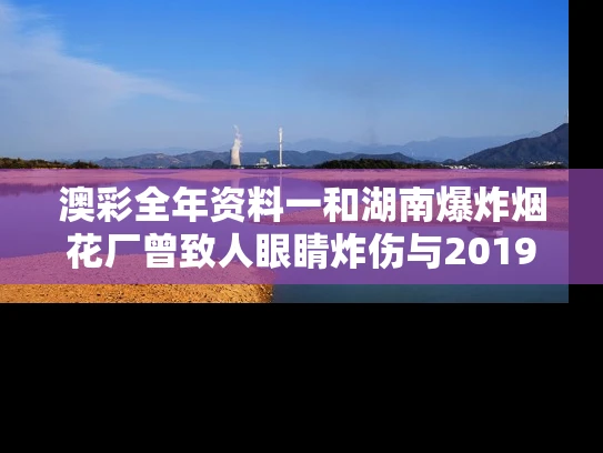 澳彩全年资料一	和湖南爆炸烟花厂曾致人眼睛炸伤与2019湖南烟花爆竹事故