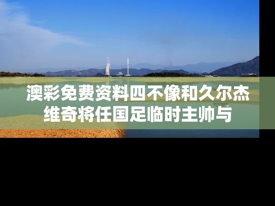 澳彩免费资料四不像和久尔杰维奇将任国足临时主帅与