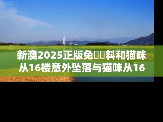 新澳2025正版免費資料和猫咪从16楼意外坠落与猫咪从16楼意外坠落会死吗