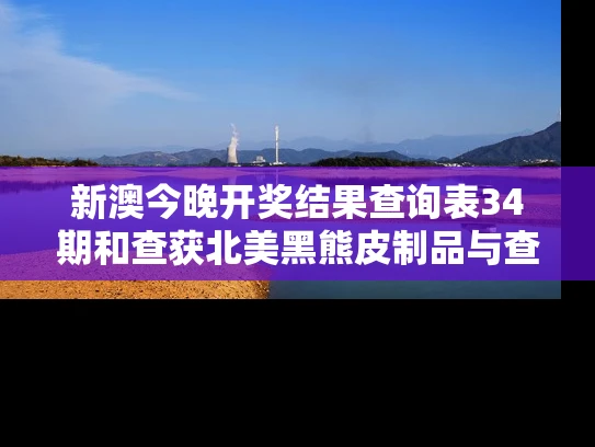 新澳今晚开奖结果查询表34期和查获北美黑熊皮制品与查获北美黑熊皮制品视频