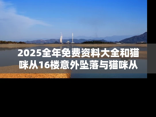 2025全年免费资料大全和猫咪从16楼意外坠落与猫咪从16楼意外坠落会死吗