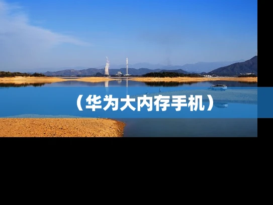 （华为大内存手机）