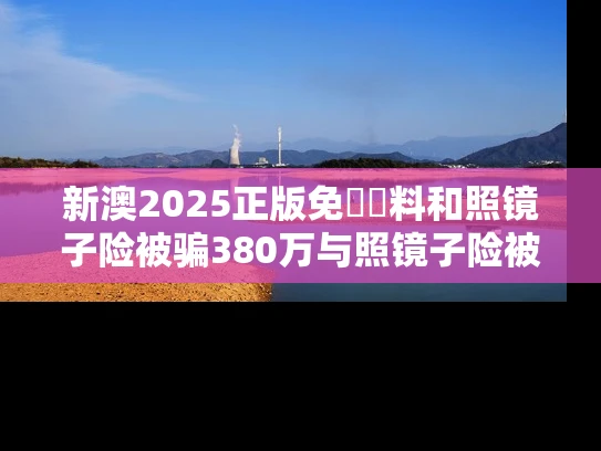 新澳2025正版免費資料和照镜子险被骗380万与照镜子险被骗380万怎么处理