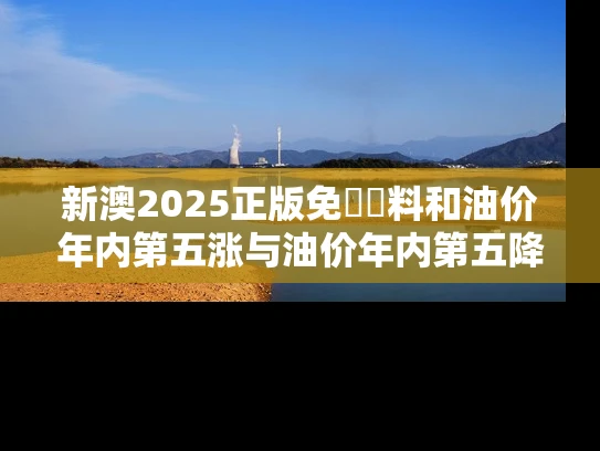 新澳2025正版免費資料和油价年内第五涨与油价年内第五降