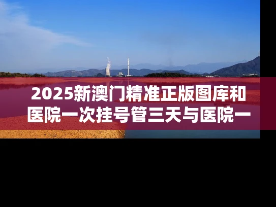 2025新澳门精准正版图库和医院一次挂号管三天与医院一次挂号管三天实施方案