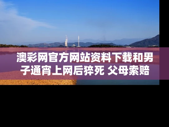 澳彩网官方网站资料下载	和男子通宵上网后猝死 父母索赔百万与上网猝死网吧赔钱吗