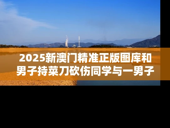 2025新澳门精准正版图库和男子持菜刀砍伤同学与一男子持菜刀砍学生