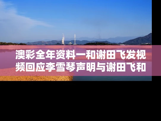 澳彩全年资料一	和谢田飞发视频回应李雪琴声明与谢田飞和李雪琴在一起了吗