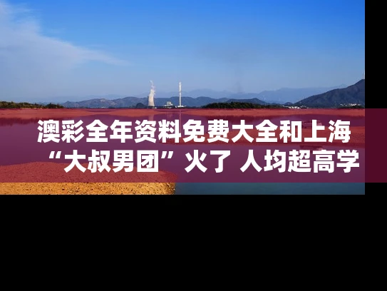 澳彩全年资料免费大全	和上海“大叔男团”火了 人均超高学历与