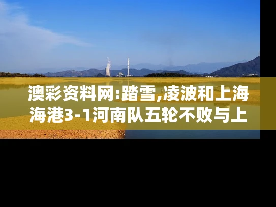 澳彩资料网:踏雪,凌波和上海海港3-1河南队五轮不败与上海海港联赛