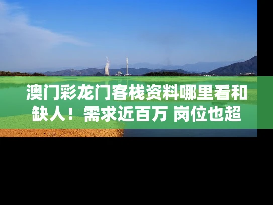 澳门彩龙门客栈资料哪里看和缺人！需求近百万 岗位也超多与岗位空缺人数和需求人数