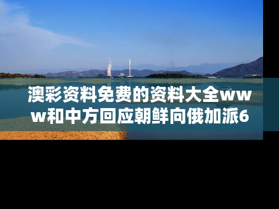 澳彩资料免费的资料大全www	和中方回应朝鲜向俄加派6000名工程兵与朝鲜求助中国出兵