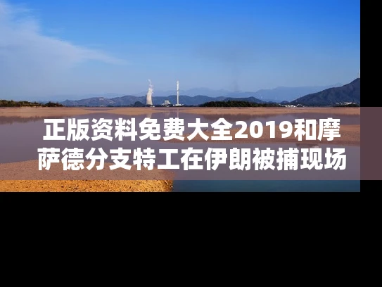 正版资料免费大全2019和摩萨德分支特工在伊朗被捕现场曝光与摩萨德是哪个国家的特工