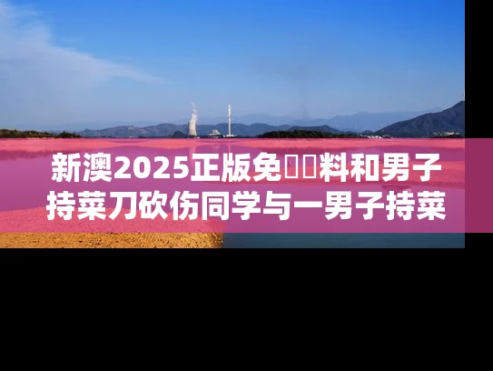 新澳2025正版免費資料和男子持菜刀砍伤同学与一男子持菜刀砍学生