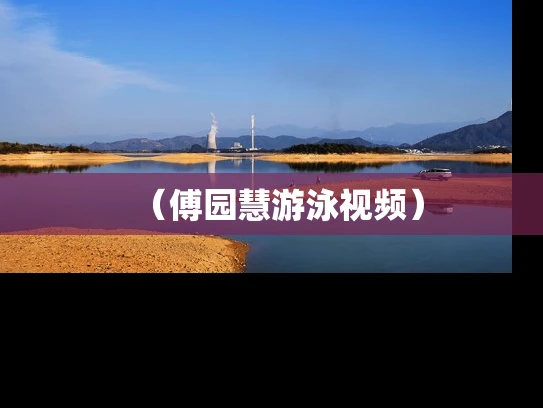 （傅园慧游泳视频）