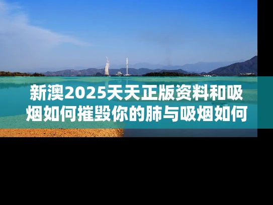 新澳2025天天正版资料和吸烟如何摧毁你的肺与吸烟如何损害肺部