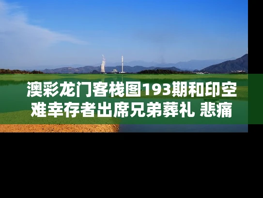 澳彩龙门客栈图193期和印空难幸存者出席兄弟葬礼 悲痛抬棺与印度空难