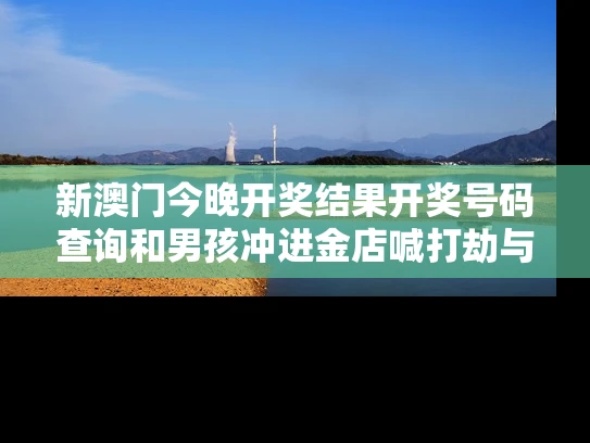 新澳门今晚开奖结果开奖号码查询和男孩冲进金店喊打劫与男子抢劫金店