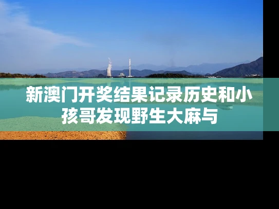 新澳门开奖结果记录历史和小孩哥发现野生大麻与