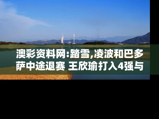 澳彩资料网:踏雪,凌波和巴多萨中途退赛 王欣瑜打入4强与网球选手巴多萨