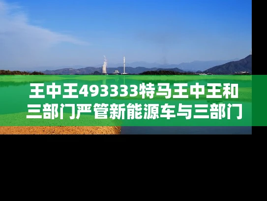 王中王493333特马王中王和三部门严管新能源车与三部门严管新能源车吗