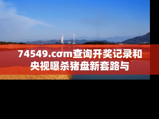 74549.cσm查询开奖记录和央视曝杀猪盘新套路与