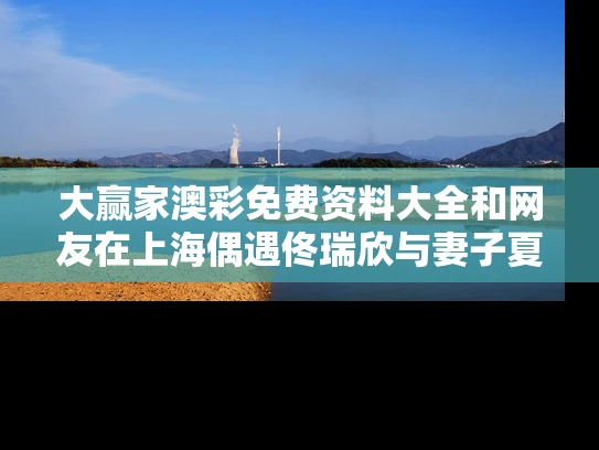 大赢家澳彩免费资料大全	和网友在上海偶遇佟瑞欣与妻子夏菁与佟瑞欣佟瑞欣