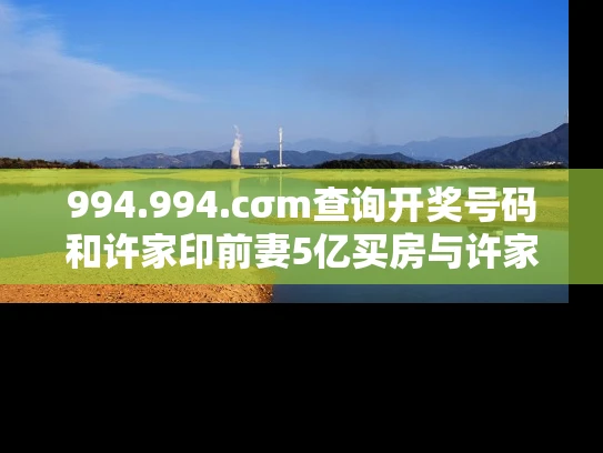 994.994.cσm查询开奖号码和许家印前妻5亿买房与许家印前妻5亿买房是真的吗