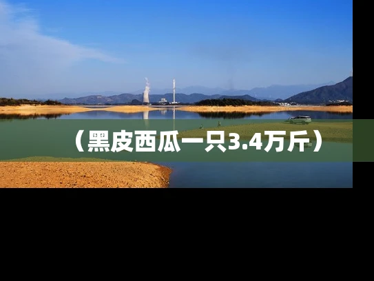 （黑皮西瓜一只3.4万斤）
