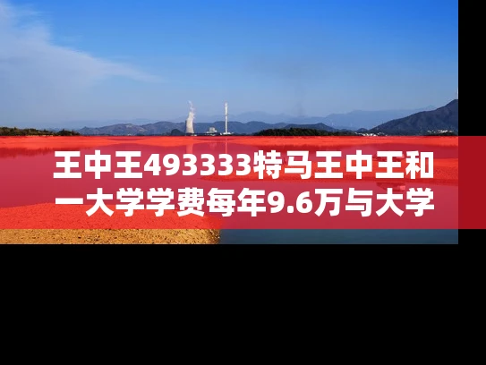 王中王493333特马王中王和一大学学费每年9.6万与大学学费一年9000
