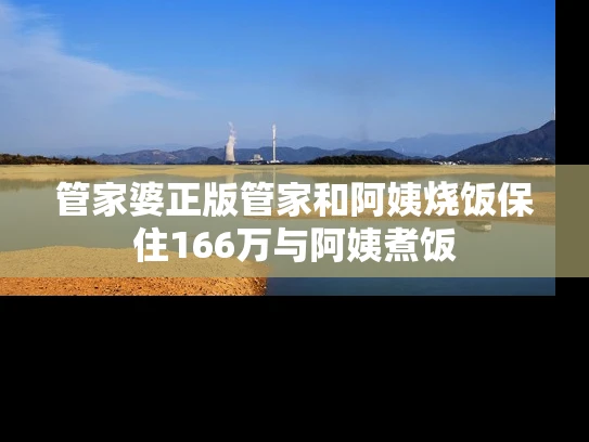 管家婆正版管家和阿姨烧饭保住166万与阿姨煮饭