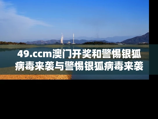 49.ccm澳门开奖和警惕银狐病毒来袭与警惕银狐病毒来袭什么意思
