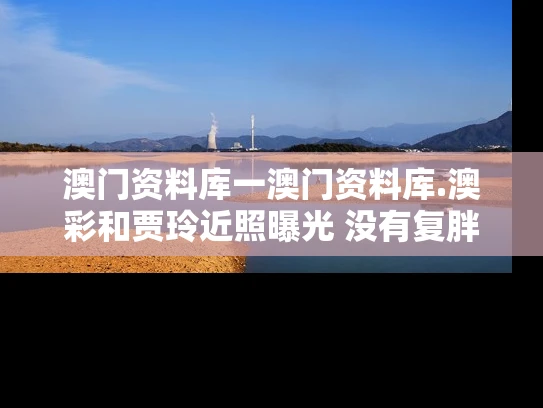 澳门资料库一澳门资料库.澳彩和贾玲近照曝光 没有复胖与贾玲近照2018瘦身后