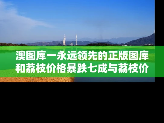澳图库一永远领先的正版图库和荔枝价格暴跌七成与荔枝价格变动