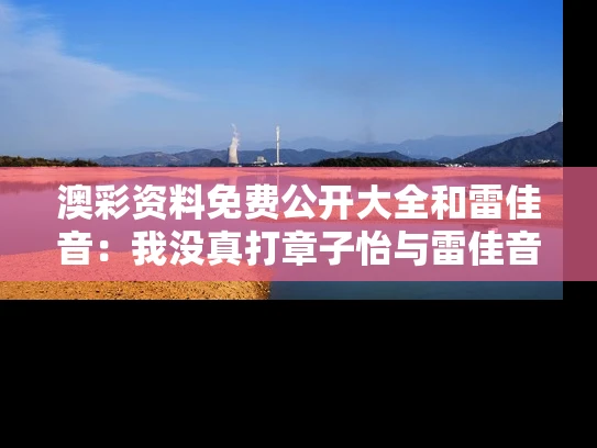 澳彩资料免费公开大全	和雷佳音：我没真打章子怡与雷佳音扮演雷震子